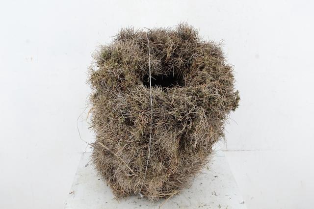 Wreath Iron Grass 30CM
