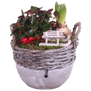 Winter Arr. Outdoor Willow Basket Ceramic Bottom 18cm 2PP