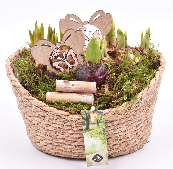 <h4>Touwmand ovaal 23x18.5cm</h4>