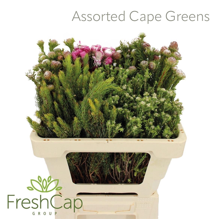 <h4>Assorted Cape Greens</h4>