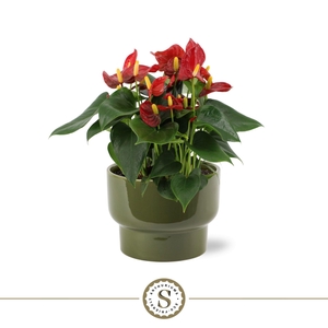 Athene Keramiek Green - Red