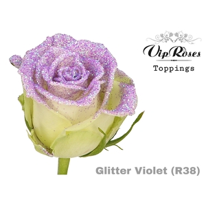 R Gr Glitter Violet R38 X20