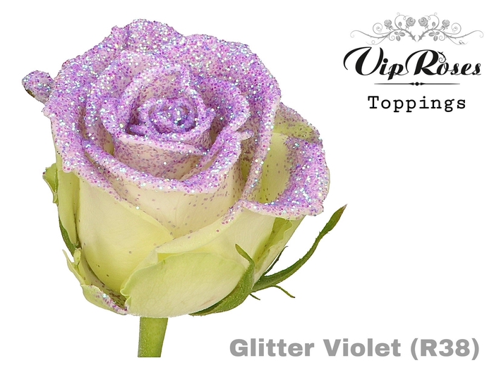 R GR GLITTER VIOLET R38 x20