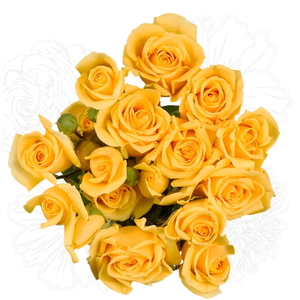 R Tr Golden Sensation Yellow 60cm EC