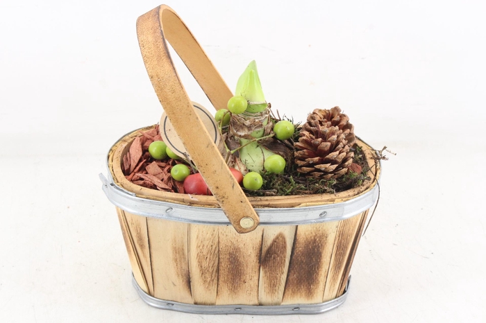 <h4>arr4 Amaryllis PL - Ovaal hengsel 338/5</h4>