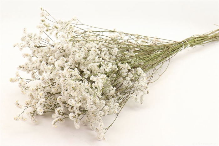 <h4>Bunch Limonium L60 Sleeved</h4>