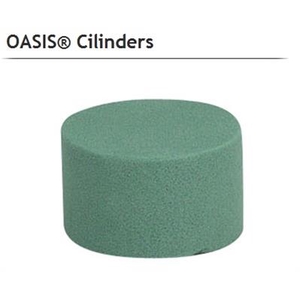 1..OASIS® 11-01017 ECONOMY CILINDER X 99