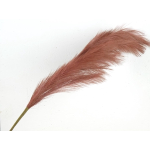 Af Pampas 130cm Burgundy(brown