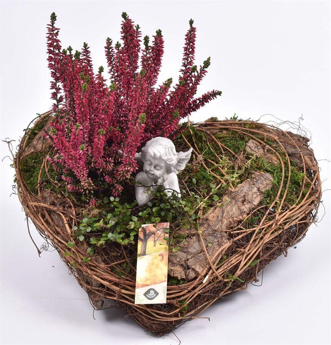 <h4>Natuur hart 25x30cm</h4>