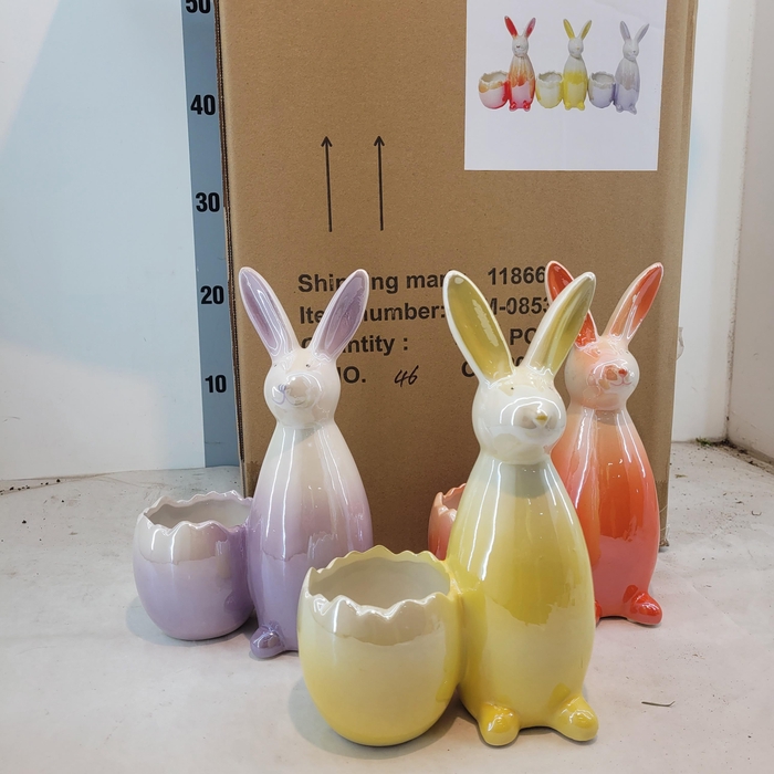 <h4>HUIS EN TUINDECO H%</h4>