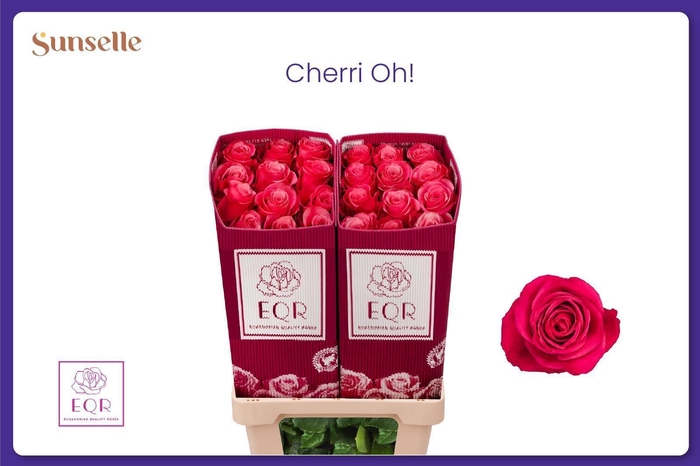 <h4>R GR CHERRY-O!</h4>