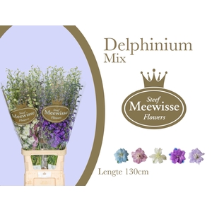 Delphinium Mix