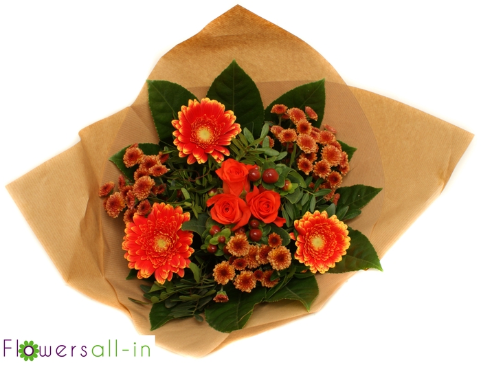 <h4>BB 20265 oranje</h4>