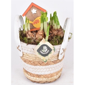 Maismand met oren Dia 13