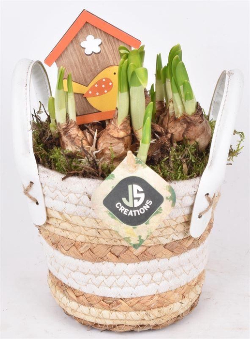 <h4>Maismand met oren Dia 13</h4>