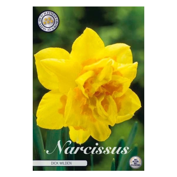 <h4>Narcissus Double Dick Wilden x5 14/16</h4>