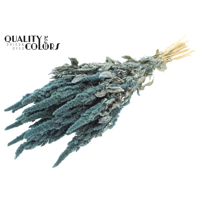 <h4>Amaranthus per bunch Frosted Light Blue</h4>
