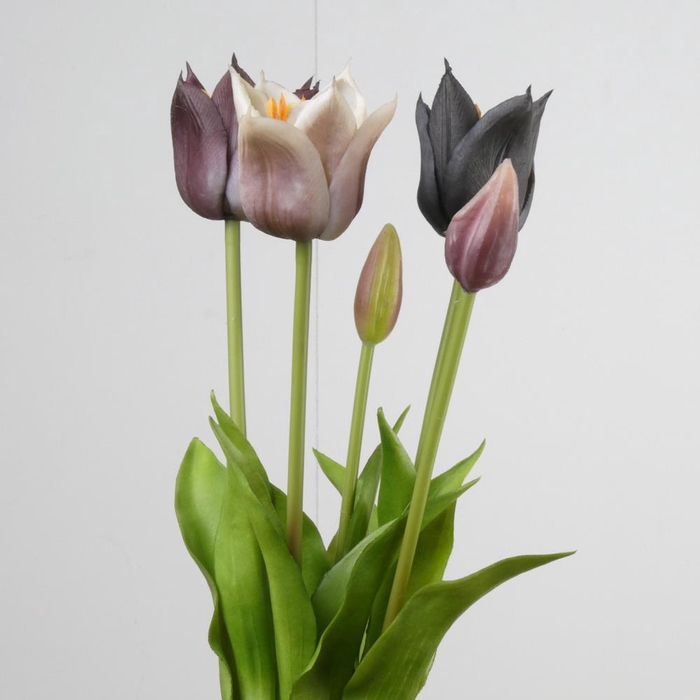 <h4>AF Tulip Bundle x5 L45cm Mix M</h4>