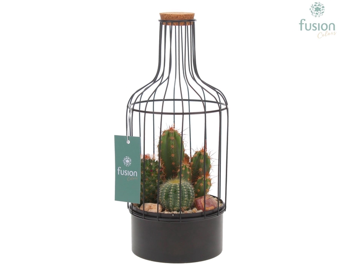 <h4>Metaal fles zwart Small met Cactussen</h4>