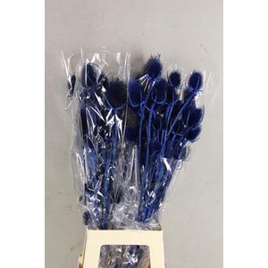 Df Dipsacus Dark Blue Bs 130g