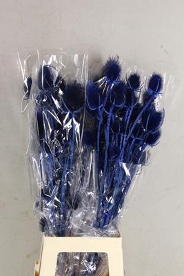 Df Dipsacus Dark Blue Bs 130g