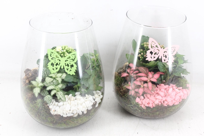 <h4>arr2 MB - Glas Roma - roze/wit</h4>