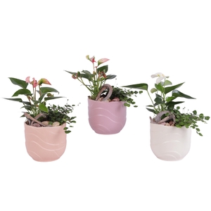 Yearround Arr. Indoor Ceramic Soft Elegance SE660 Ø14cm 2PP