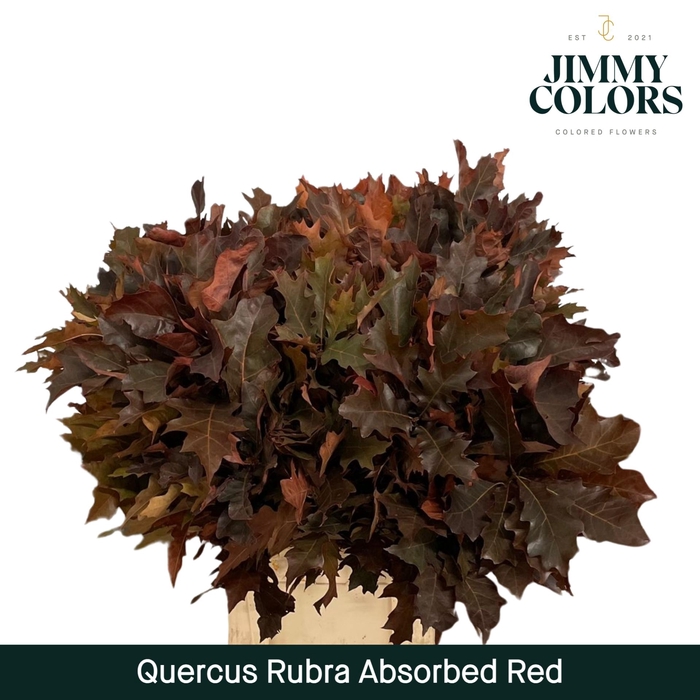 <h4>Absorbed Quercus Rubra L80 Red</h4>