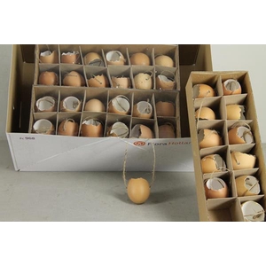 Egg Chicken Brown Broken Box12