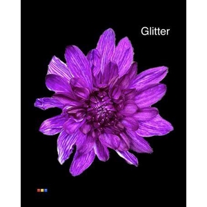 Chr T Baltica Violet + Glit Bio