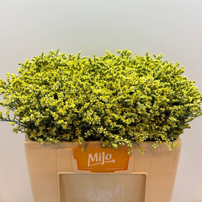 <h4>Lim Sin China Lemon</h4>