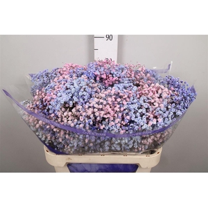 Gyps Rb Mystic Tide Glittered