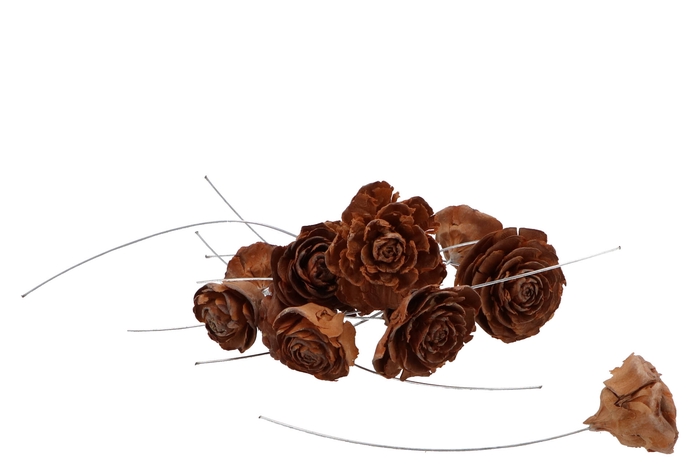 Nature Plug Cedar Roses Naturel On Wire Per 50