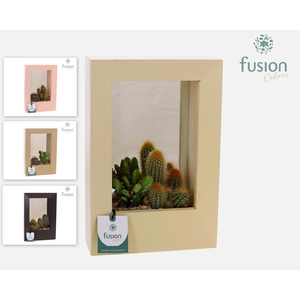 Houten schilderij met spiegel Small met Cactussen