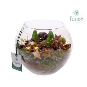 Glazen Vissenkom Kerst met Hyacinthus