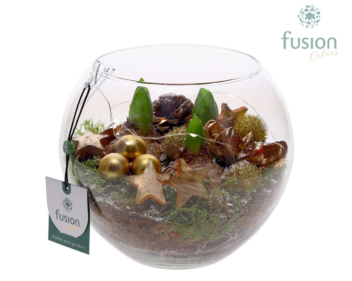 <h4>Glazen Vissenkom Kerst met Hyacinthus</h4>