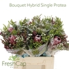 Bouquet Hybrid Single Protea