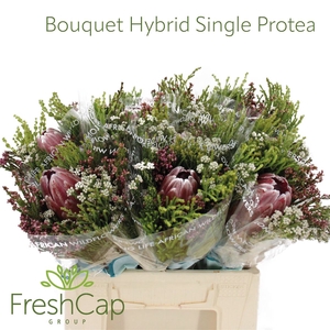 Bouquet Hybrid Single Protea