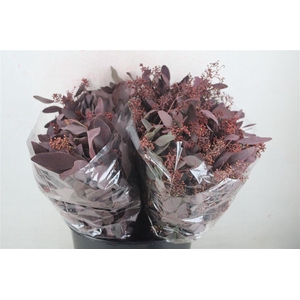 Euca Populus Berry Short Abs Red 150g Pbs