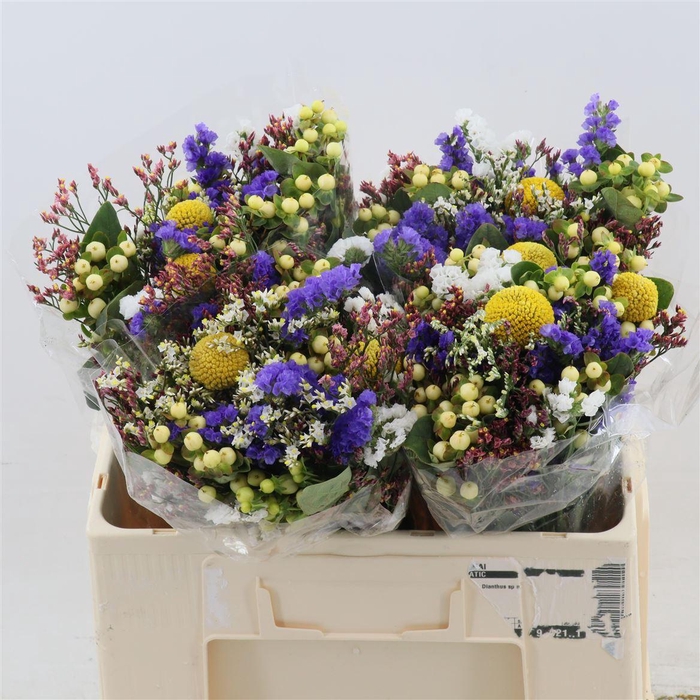 <h4>Gemengd boeket Zomerboeket overig</h4>