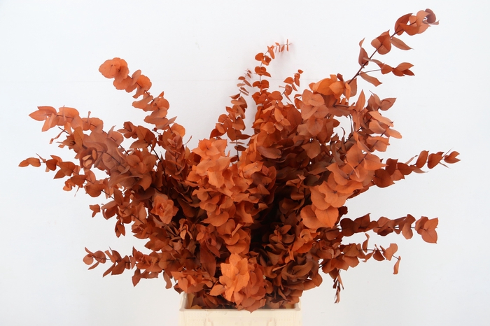 <h4>DROOGBL BEWERKT H%</h4>