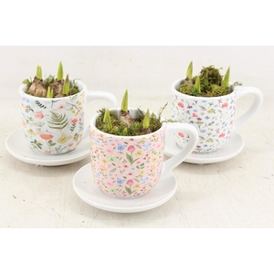 arr4 Muscari RN - Floral Faye Cups