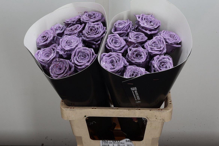 <h4>R Wx (rn) Milka</h4>