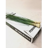 BEARGRASS