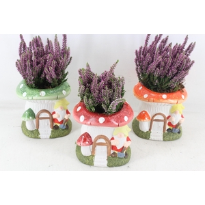 arr4 Outdoor PL - Ker. paddenstoel huisje x3