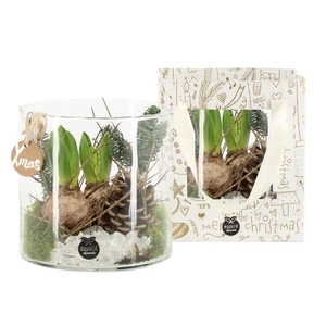 61727: X-mas arrangement