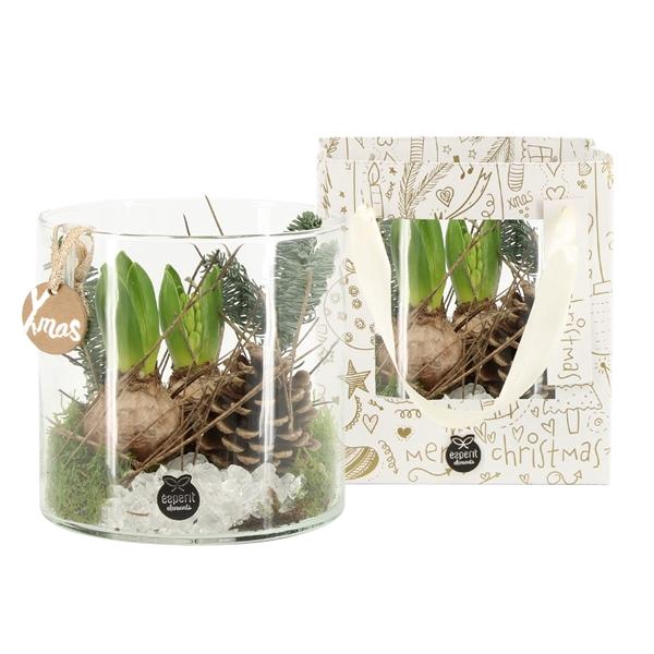 <h4>61727: X-mas arrangement</h4>