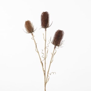 AF Dipsacus Spray L69cm White