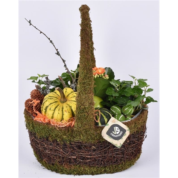 <h4>Arrangementen Sierfruit</h4>