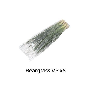Xerophyllum tenax Beargrass per bos